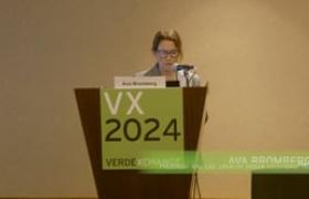 VX2024: HLA Passed - What's Next